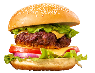 Burger 5